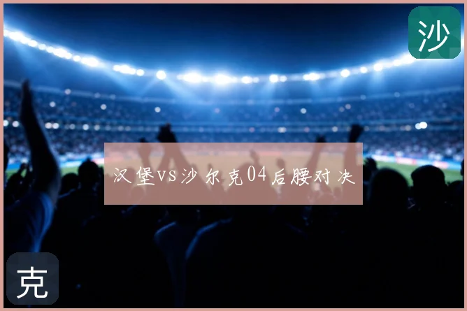 汉堡vs沙尔克04后腰对决